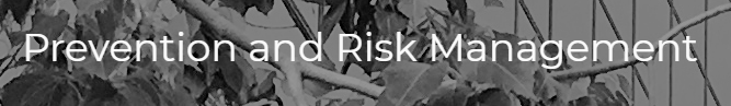 Prevention and Risk Management